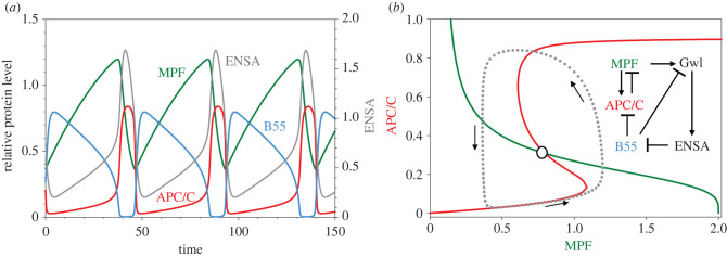 Figure 4. 