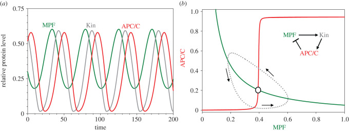 Figure 2. 