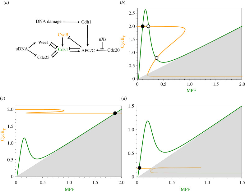 Figure 6. 