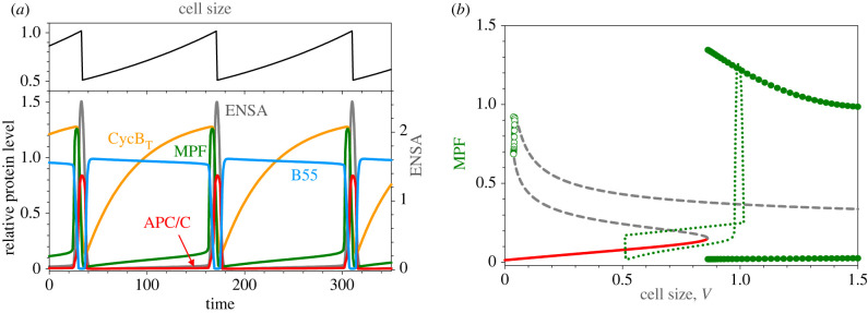 Figure 7. 