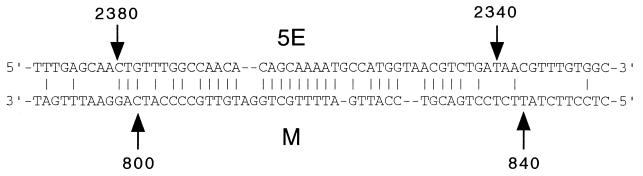 FIG. 5.