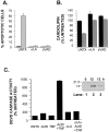 Figure 10.