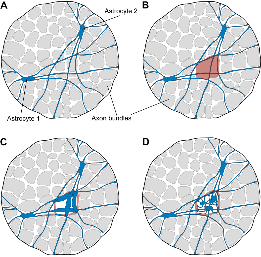 Fig. 10