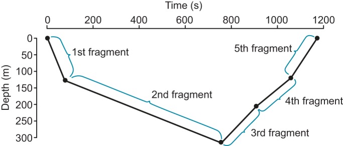 Fig. 1.