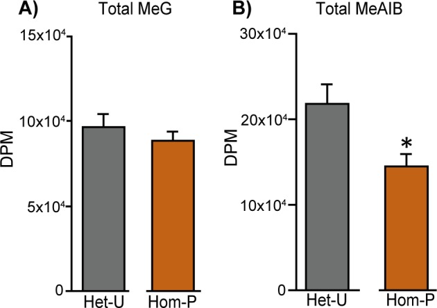 Figure 5—figure supplement 1.