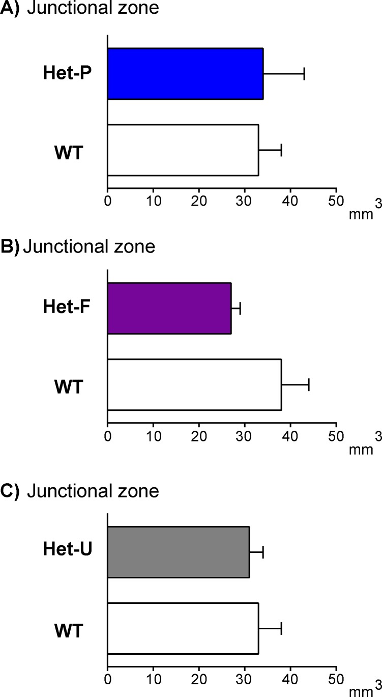 Figure 3—figure supplement 1.