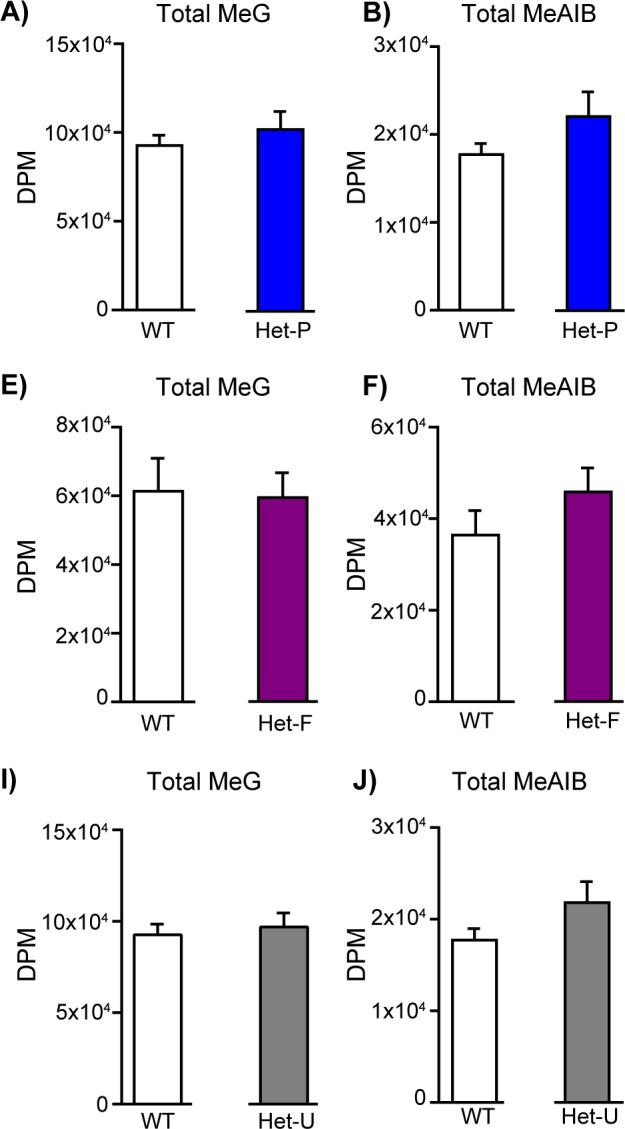 Figure 4—figure supplement 1.