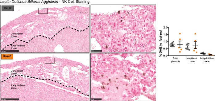 Figure 6—figure supplement 3.