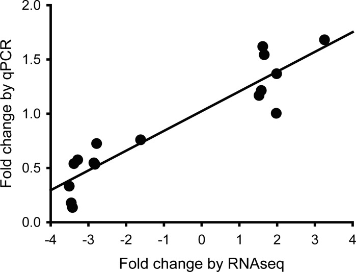 Figure 6—figure supplement 2.