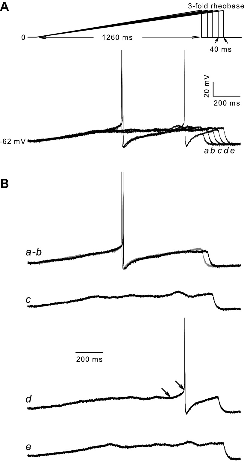 Figure 5.