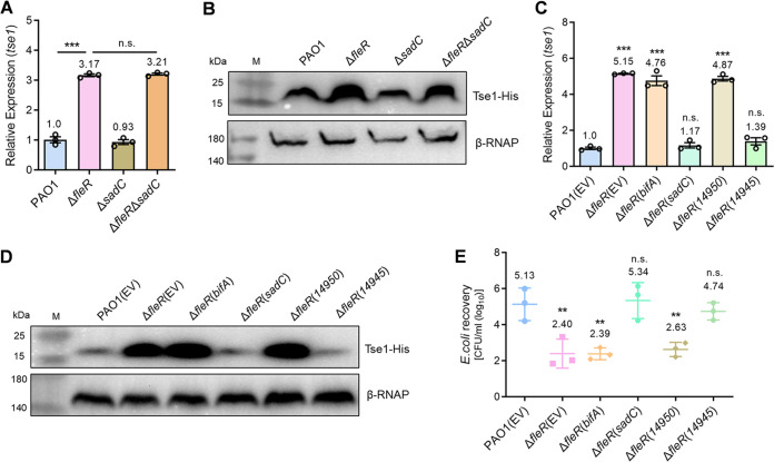 FIG 3