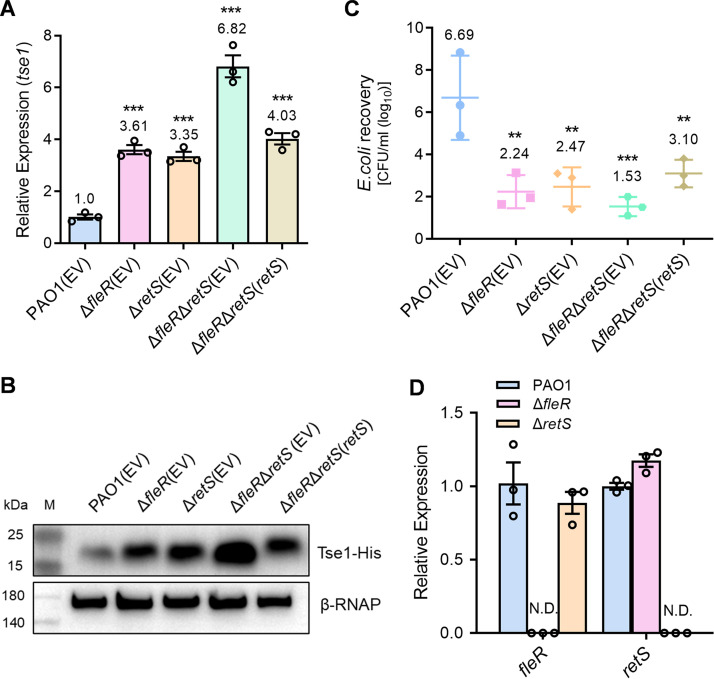 FIG 6