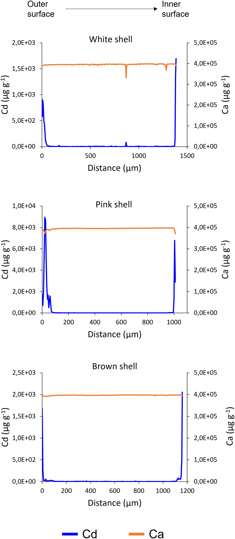 Fig. 5