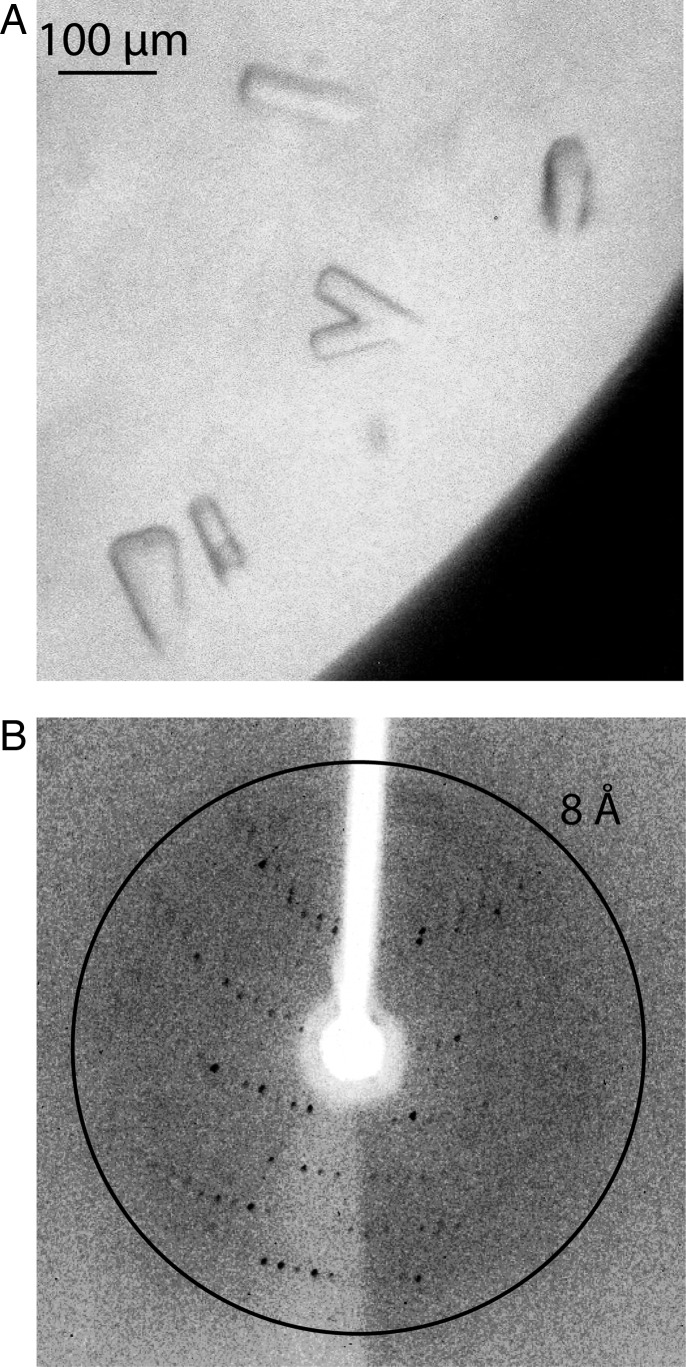 Fig. 4