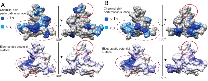 Figure 7.