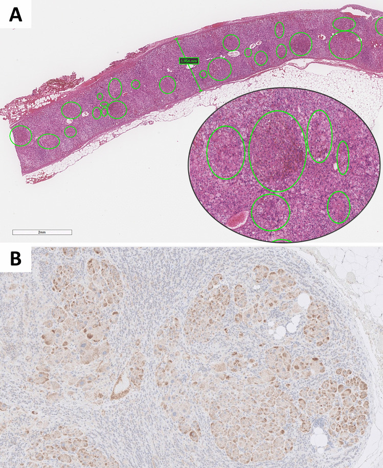 Fig. 10