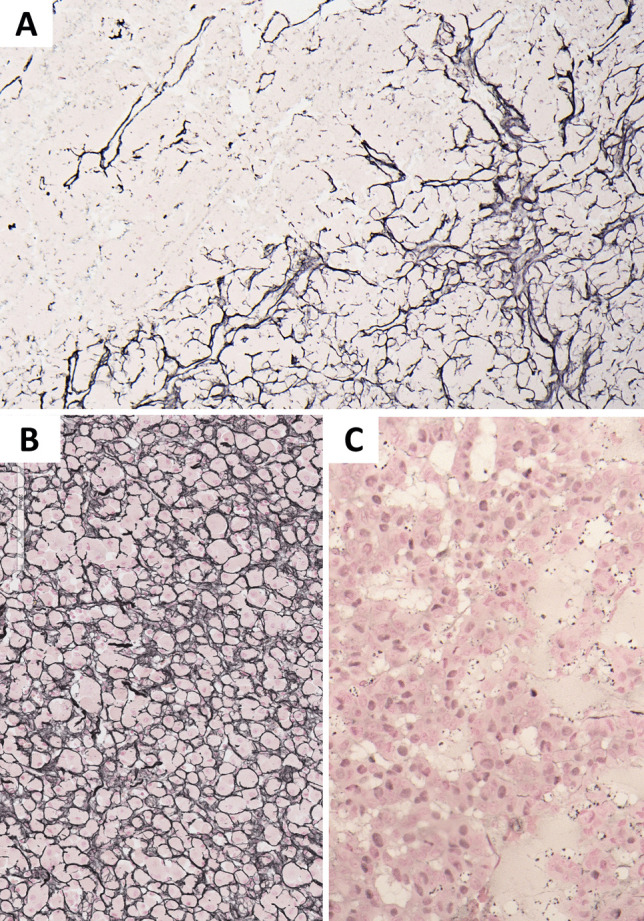 Fig. 27