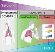 Graphical Abstract