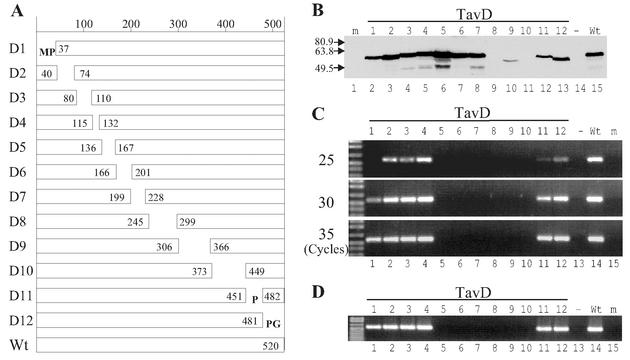 FIG. 2.