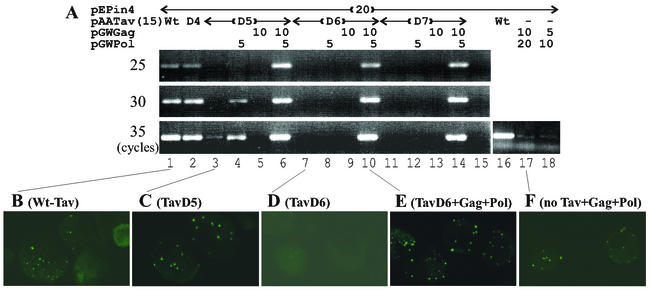 FIG. 3.