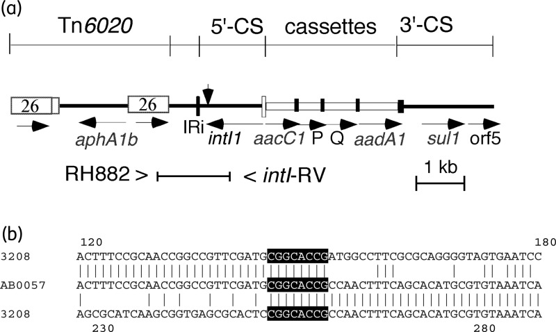 Figure 1.