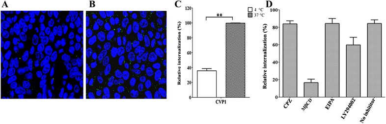 Figure 7