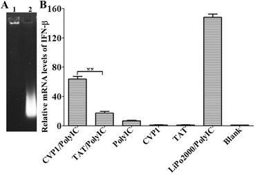 Figure 6