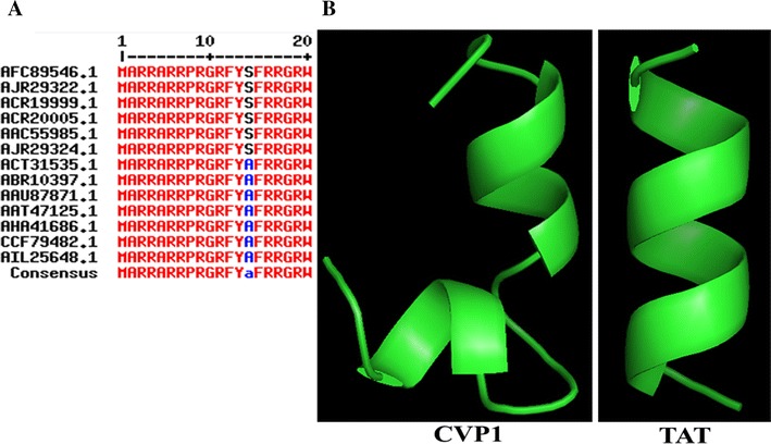 Figure 1