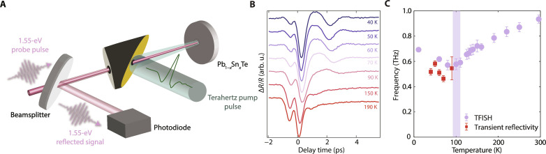 Fig. 4.