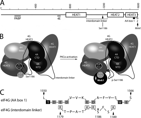 Fig. 9.