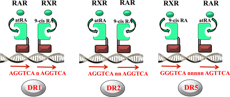 Fig. 2