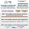 Graphical Abstract