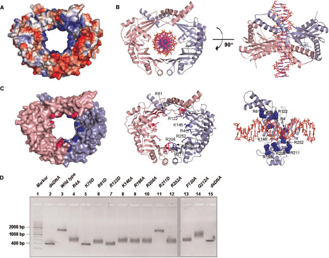 Figure 4.