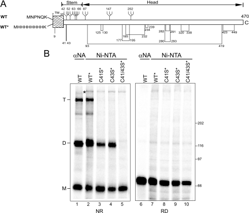 FIGURE 1.