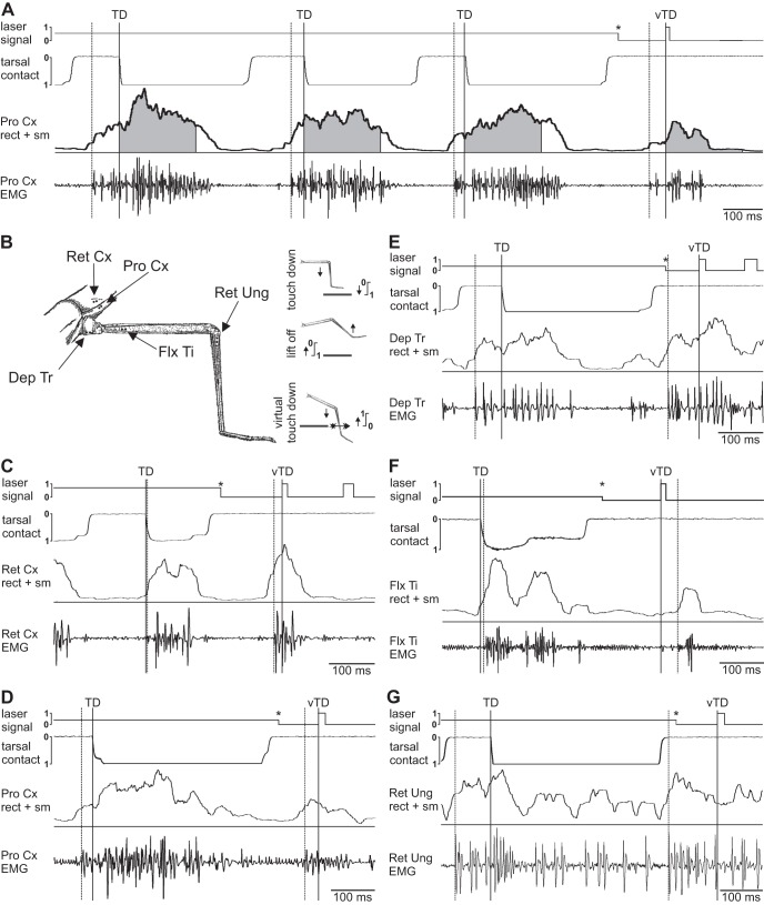 Fig. 1.