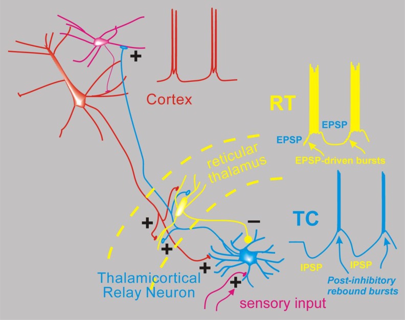 Figure 2.