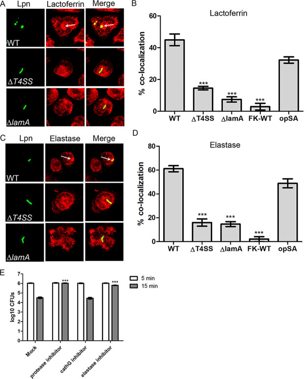 FIG 4