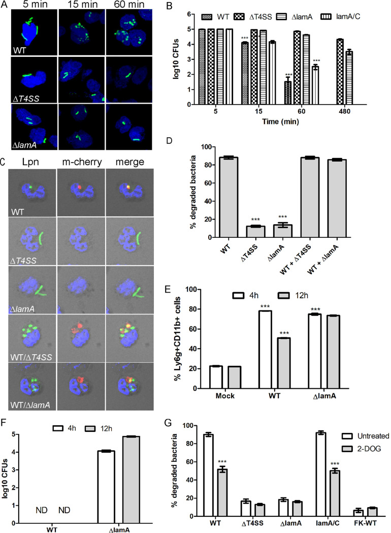 FIG 2