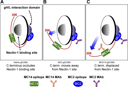 Fig 10