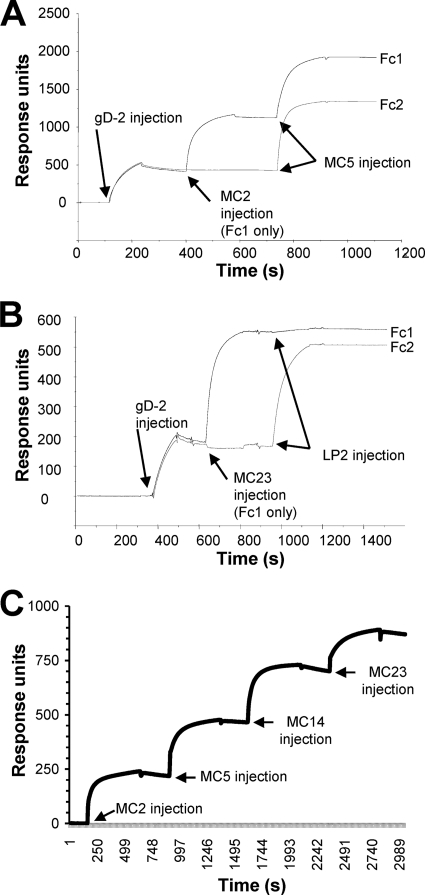 Fig 3