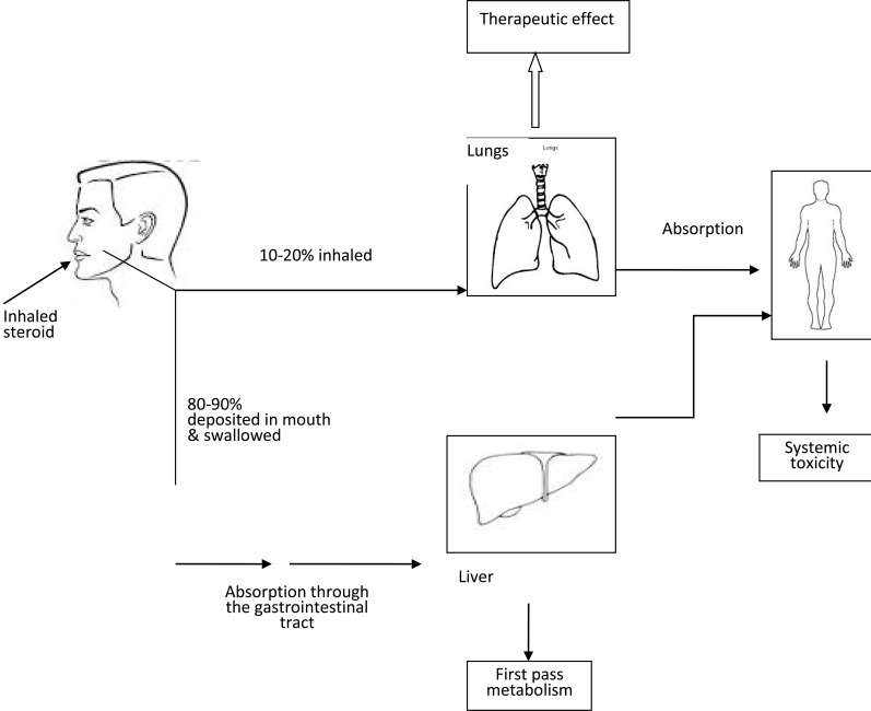 Fig. (1)