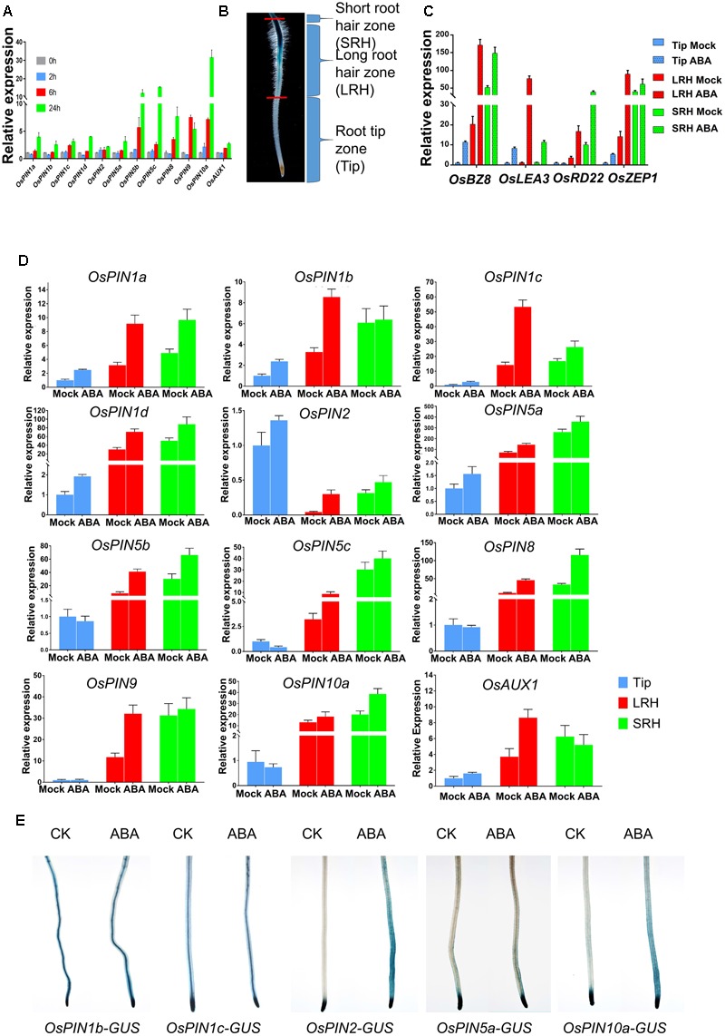 FIGURE 4