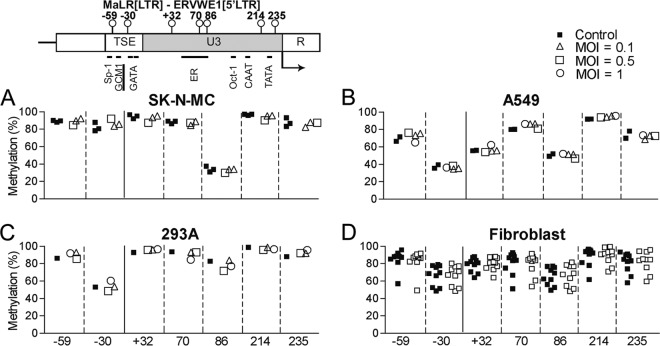 FIG 4