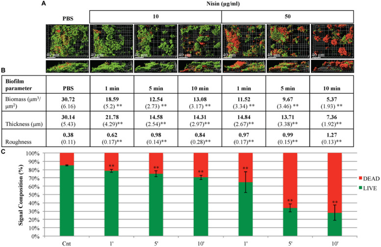 FIGURE 4