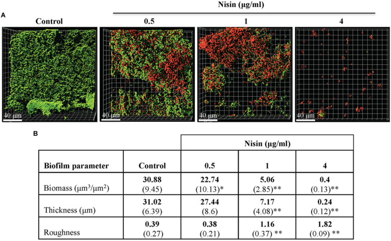 FIGURE 3