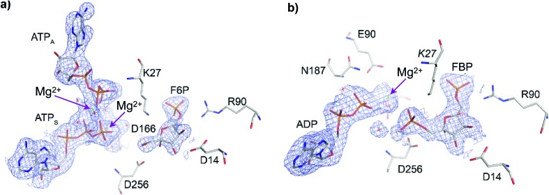 Fig. 2