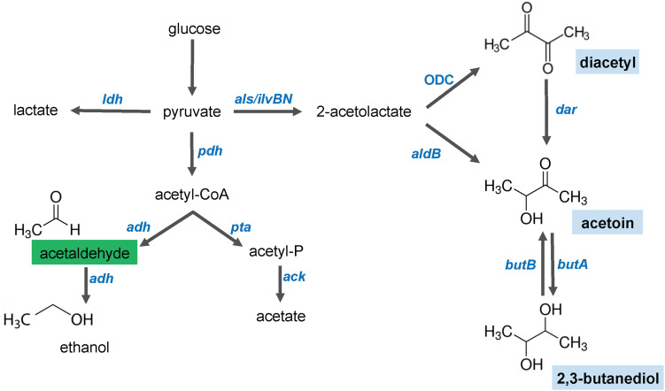 FIGURE 4