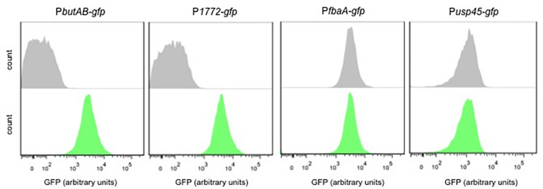 FIGURE 3