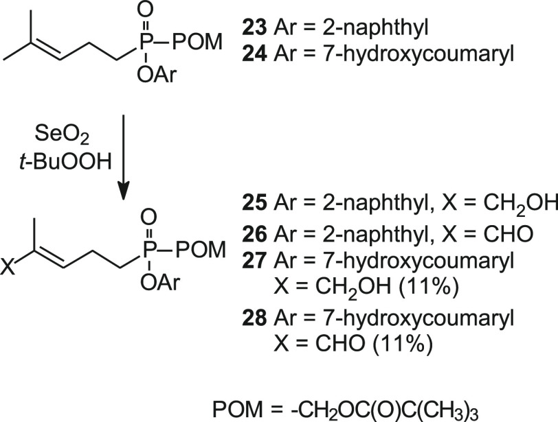 Scheme 5