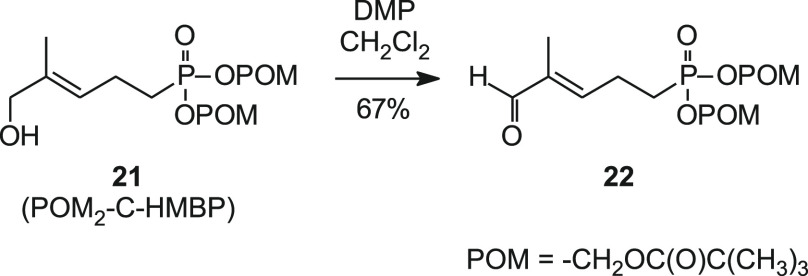 Scheme 4